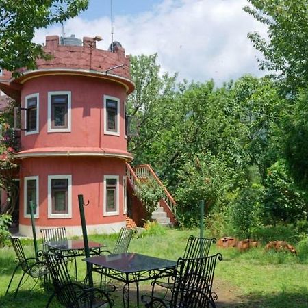 Castle Hotel ポカラ エクステリア 写真